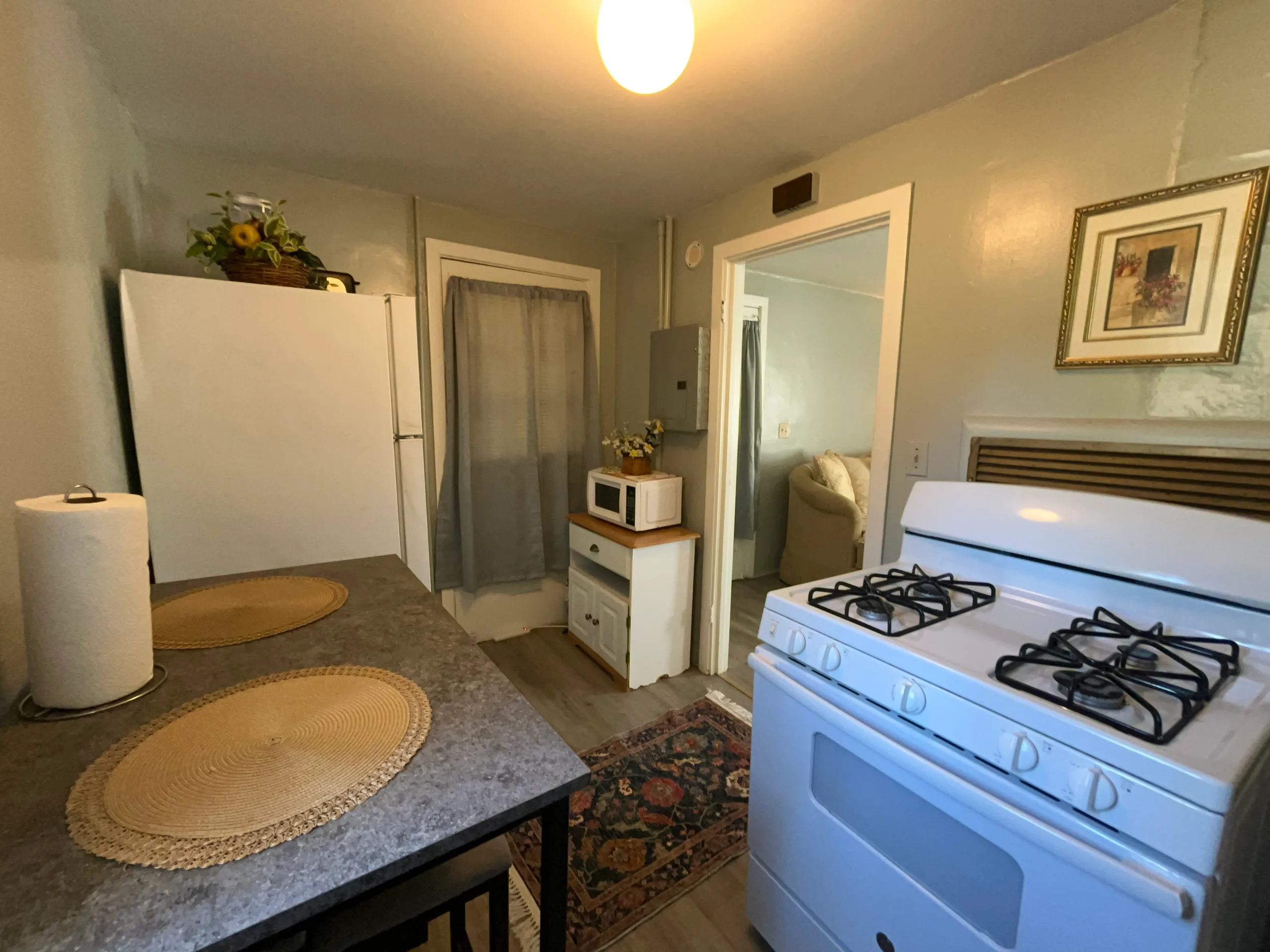 Comfy 1BR Apartment | Queen & Sofa Bed Near VSU
