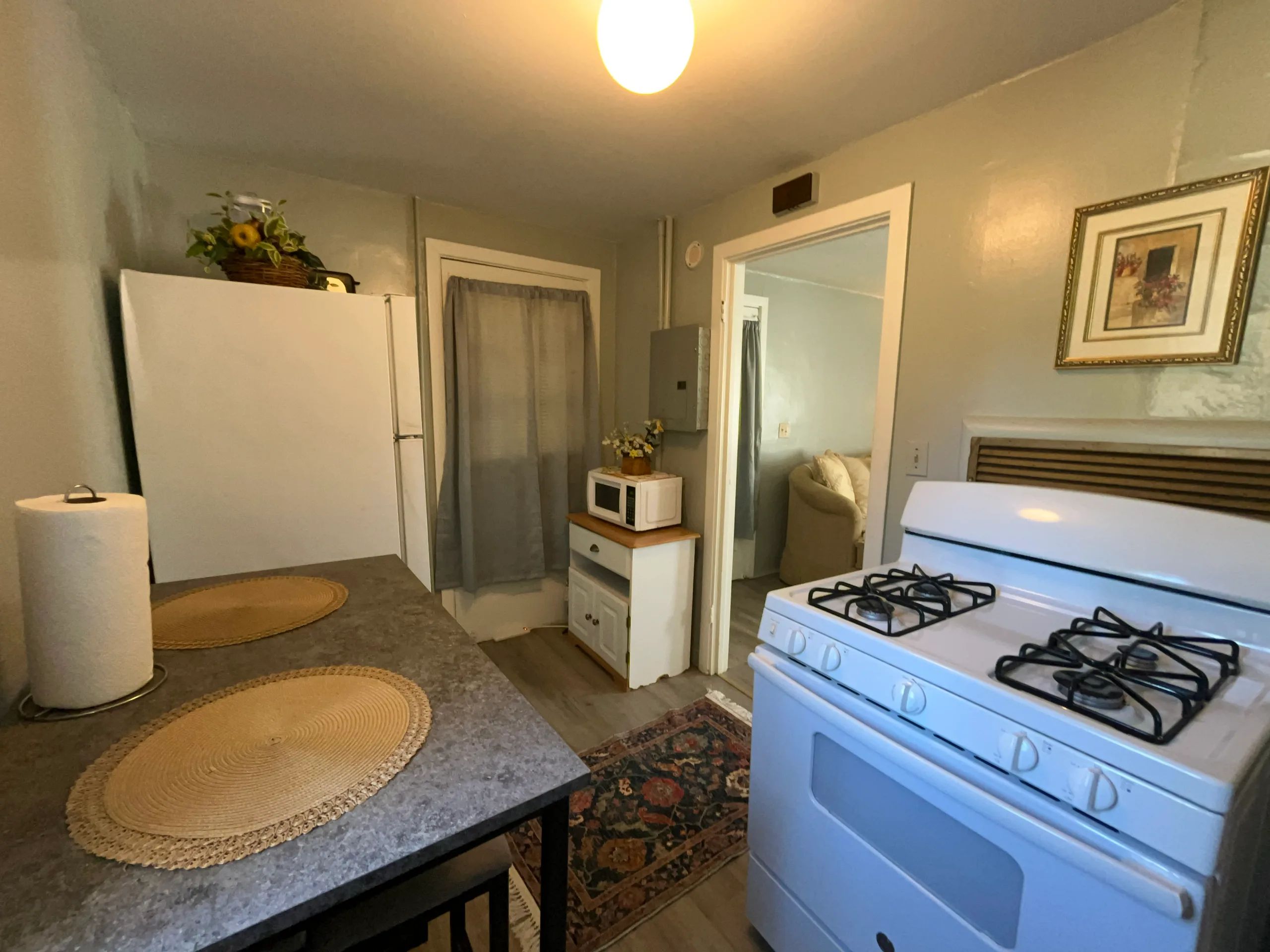 Comfy 1BR Apartment | Queen & Sofa Bed Near VSU